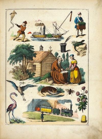 "Четырех-язычный словарь в картинах для 4-6 летних детей". С 500 раскрашенными рисунками. 1870 год.