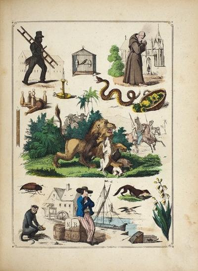 "Четырех-язычный словарь в картинах для 4-6 летних детей". С 500 раскрашенными рисунками. 1870 год.