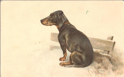 Открытки "Таксы". 1903-1910.