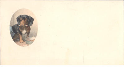 Открытки "Таксы". 1903-1910.