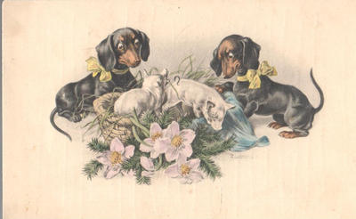 Открытки "Таксы". 1903-1910.