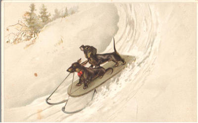 Открытки "Таксы". 1903-1910.