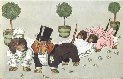 Открытки "Таксы". 1903-1910.