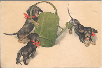 Открытки "Таксы". 1903-1910.