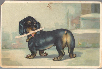 Открытки "Таксы". 1903-1910.