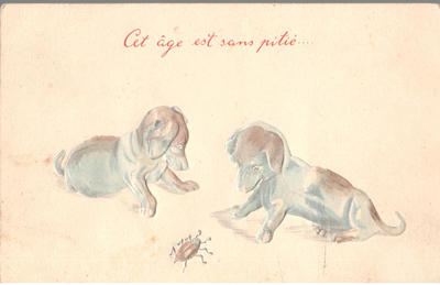 Открытки "Таксы". 1903-1910.