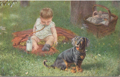 Открытки "Таксы". 1903-1910.