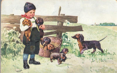 Открытки "Таксы". 1903-1910.