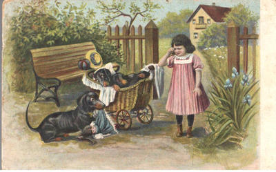 Открытки "Таксы". 1903-1910.