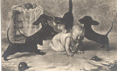 Открытки "Таксы". 1903-1910.