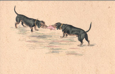 Открытки "Таксы". 1903-1910.