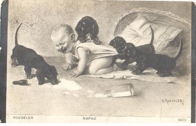 Открытки "Таксы". 1903-1910.