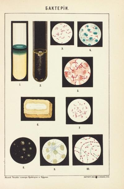 "Малый энциклопедический словарь". СПб. Типография Акц. общ. «Издательское дело, бывш. Брокгауз-Ефрон», 1899-1902 гг.