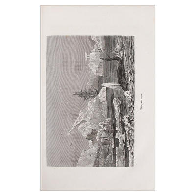 "Страна холода" В.И. Немирович-Данченко.  СПб., М.: Изд. книгопродавца-типографа М.О. Вольфа, 1877 год.