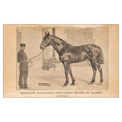 "Верховая езда прежде и теперь" де Ш-М. Во. Москва, типография Общества распространения полезных книг аренд. И.К. Солнцевым, 1900 год.